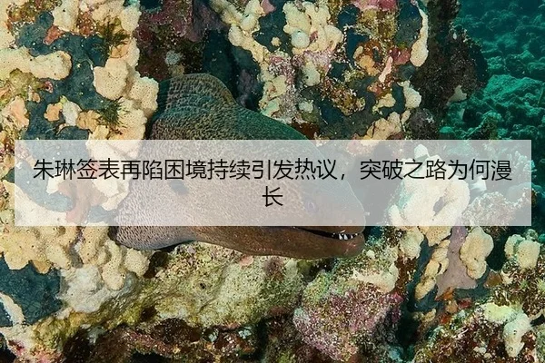 zhu-lin-qian-biao-zai-xian-kun-jing-chi-xu-yin-fa-re-yi-tu-po-zhi-lu-wei-he-man-chang-2-886.jpg